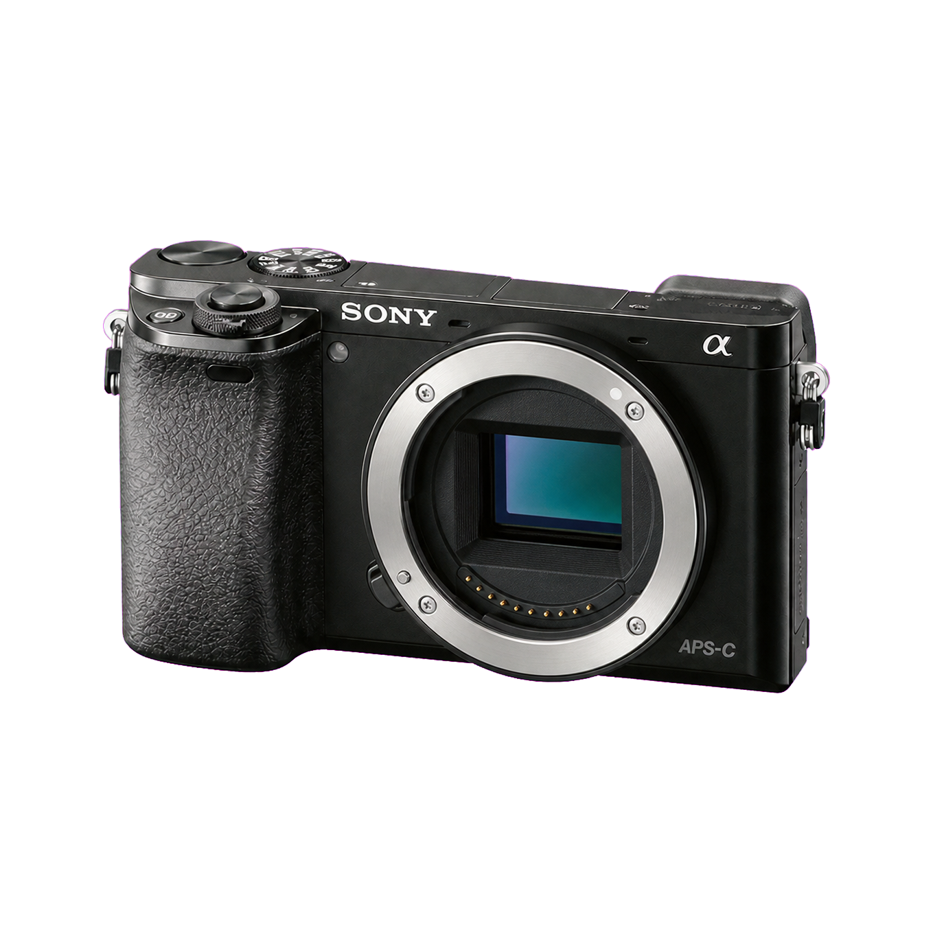 索尼A6000型号图