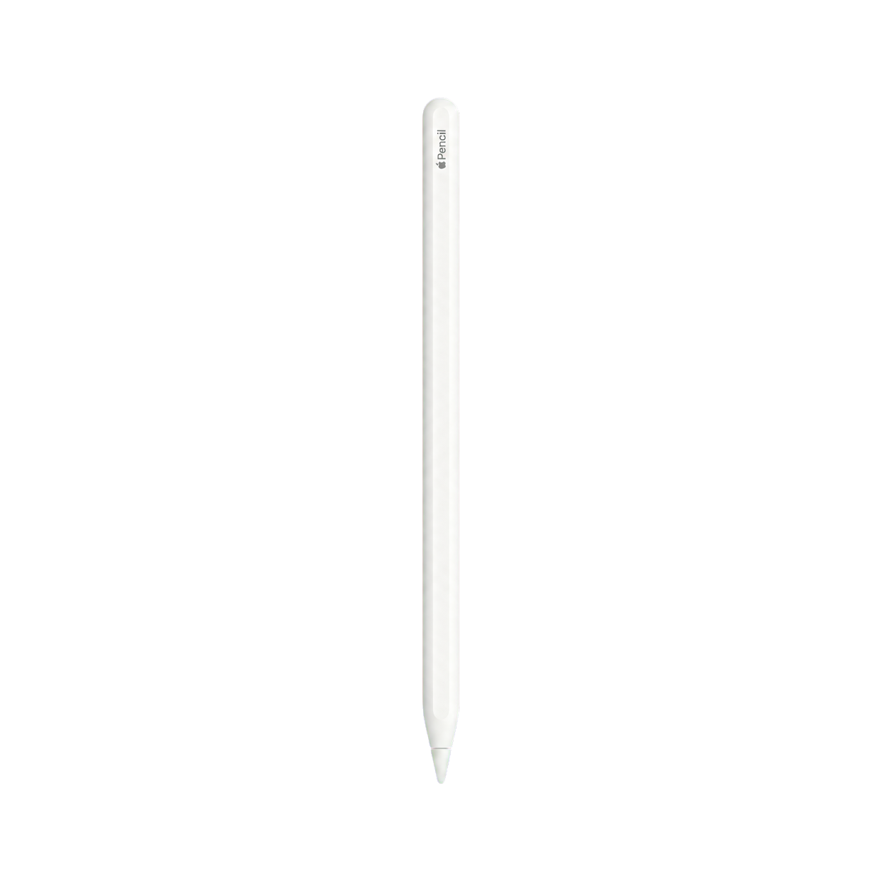 Apple Pencil 二代型号图