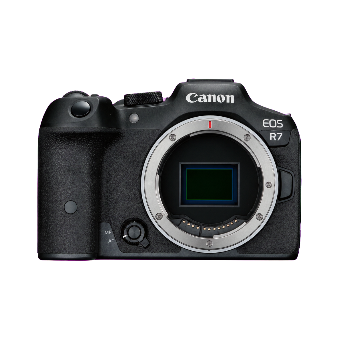 佳能 EOS R7型号图