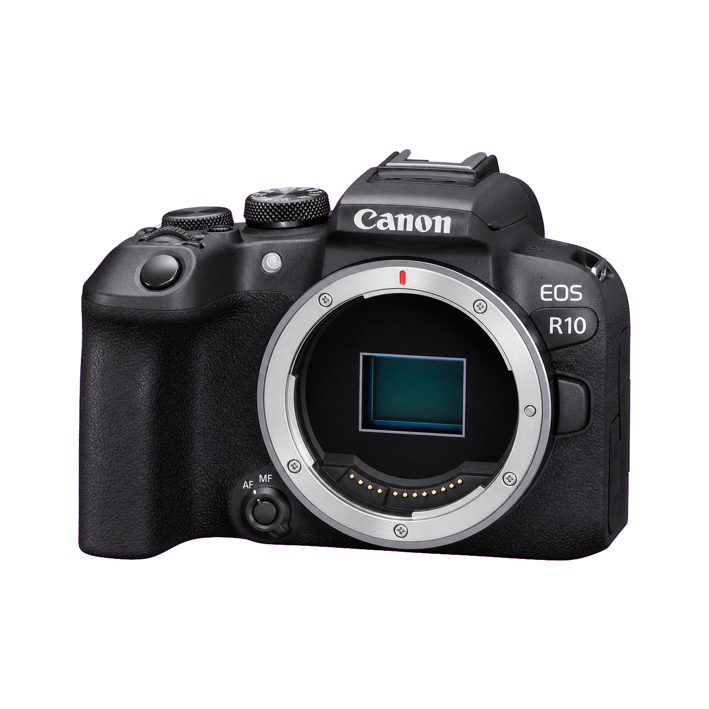 佳能 EOS R10型号图