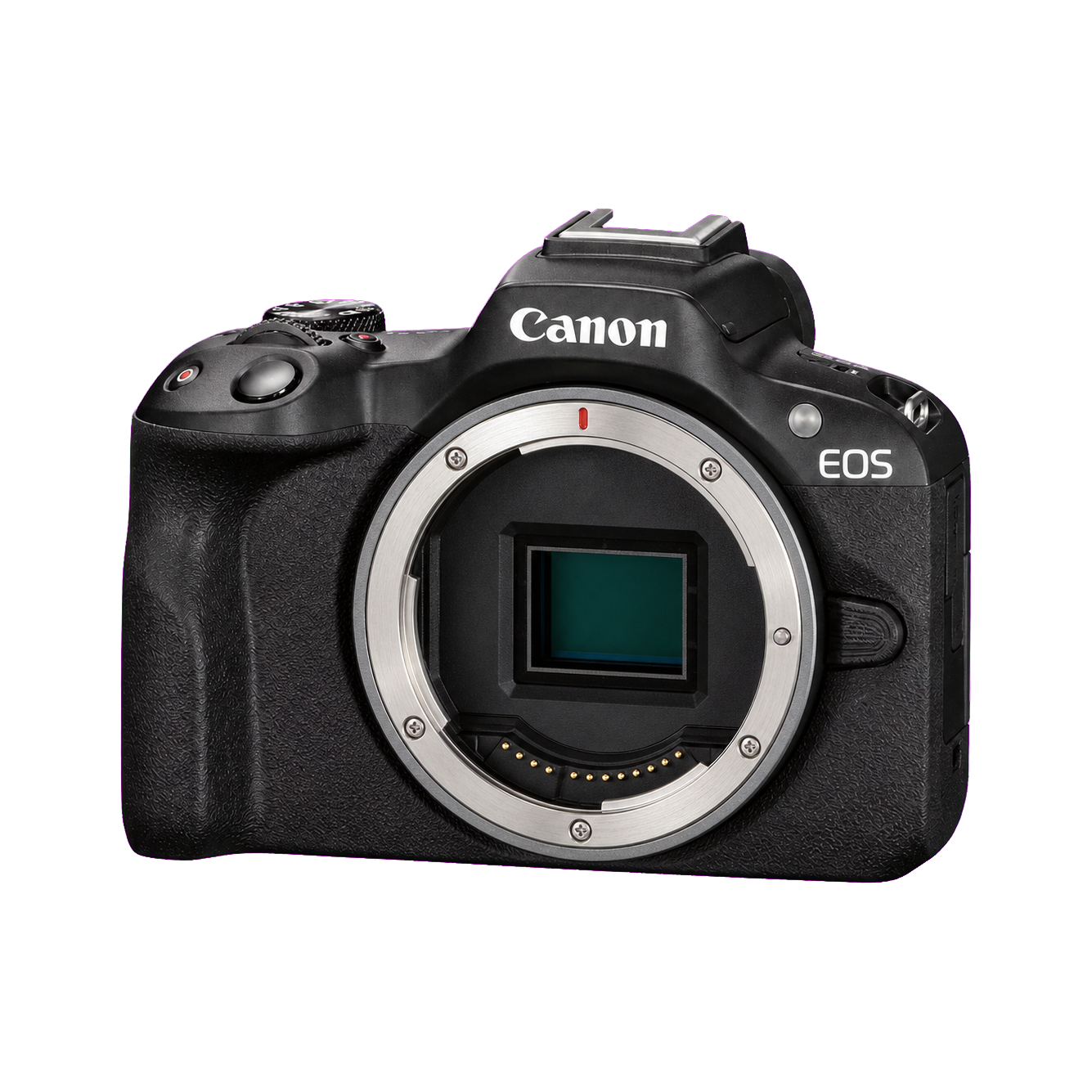 佳能 EOS R50型号图