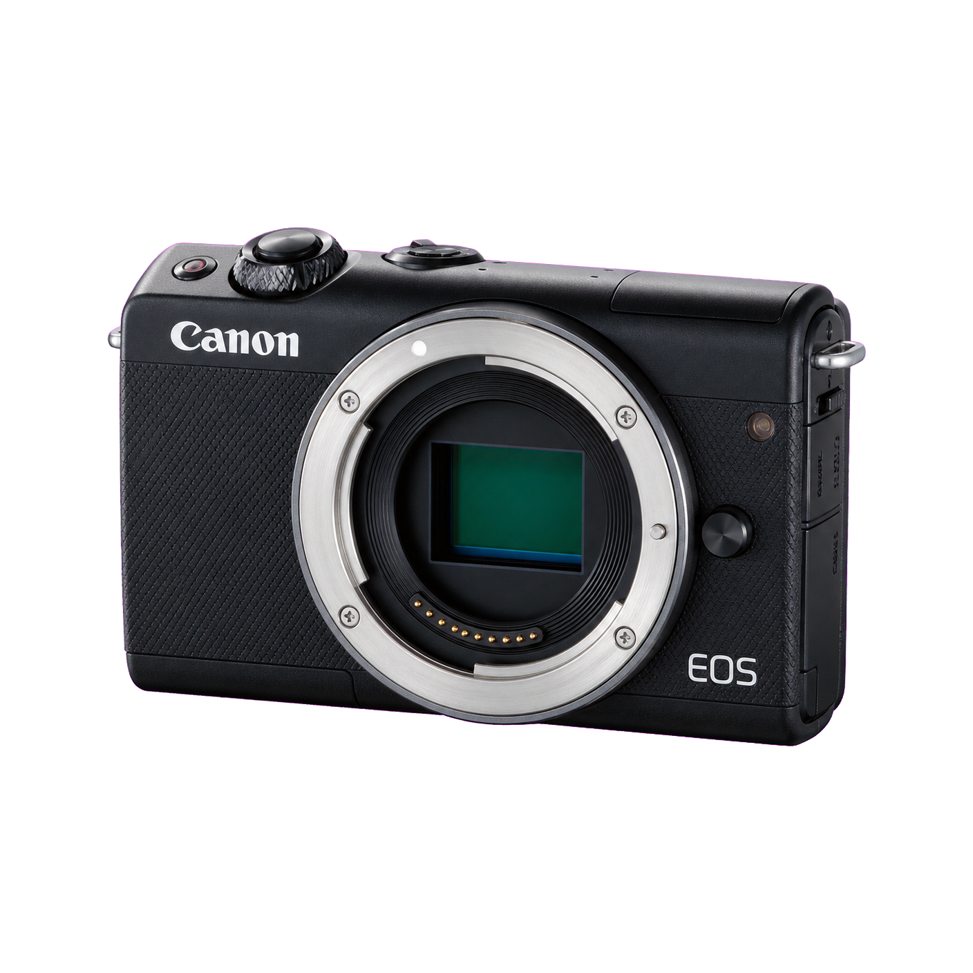 佳能 EOS M100型号图
