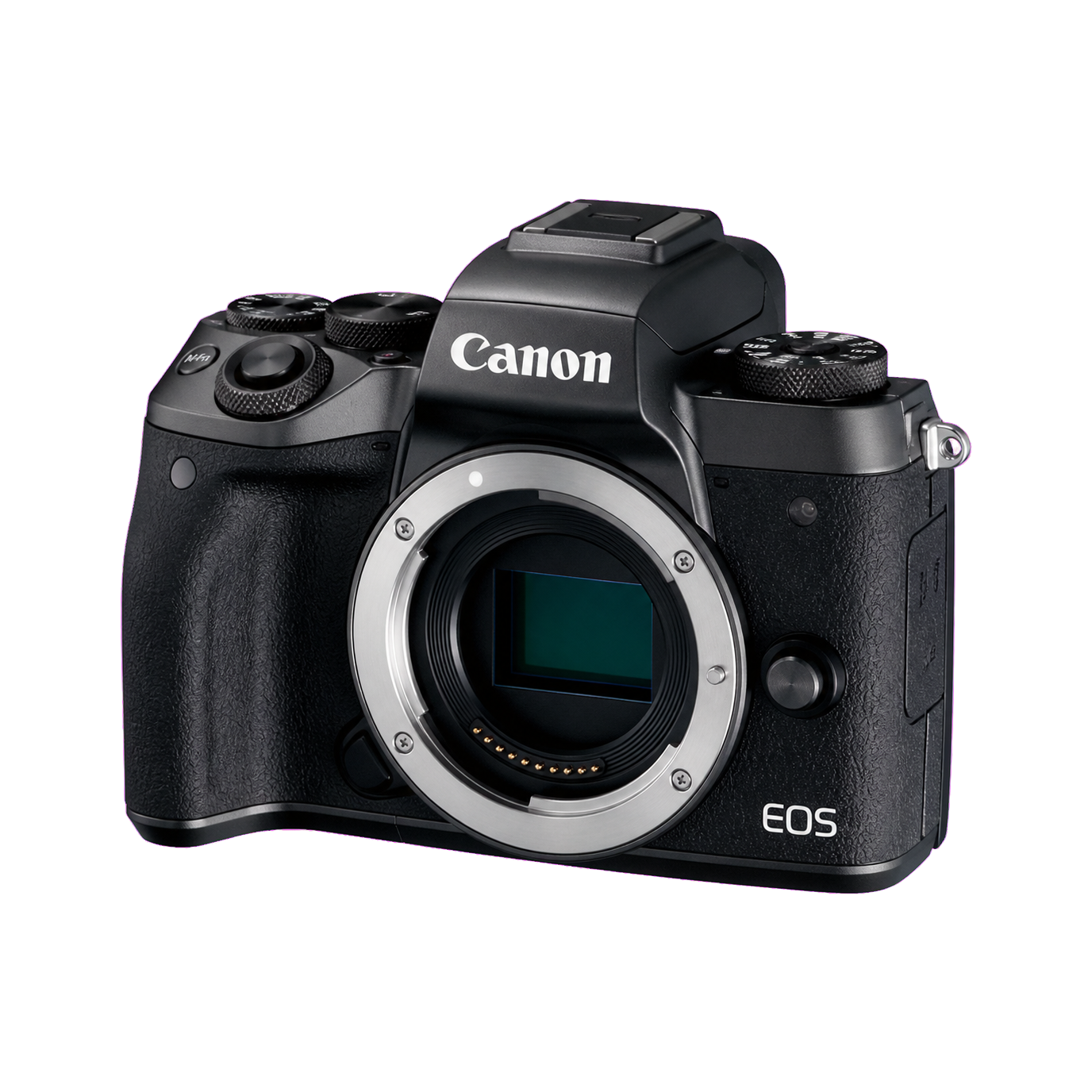 佳能 EOS M5型号图