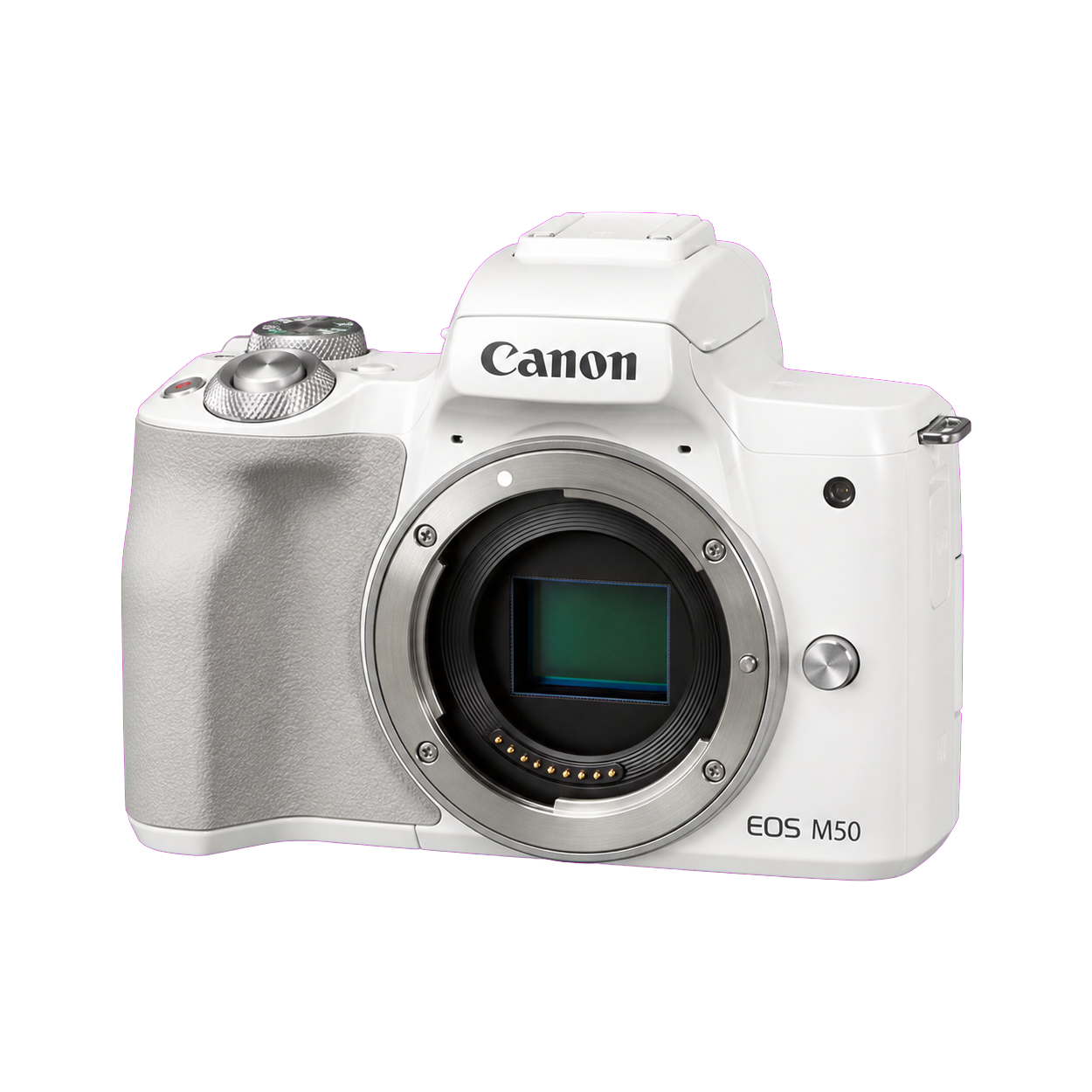 佳能 EOS M50型号图