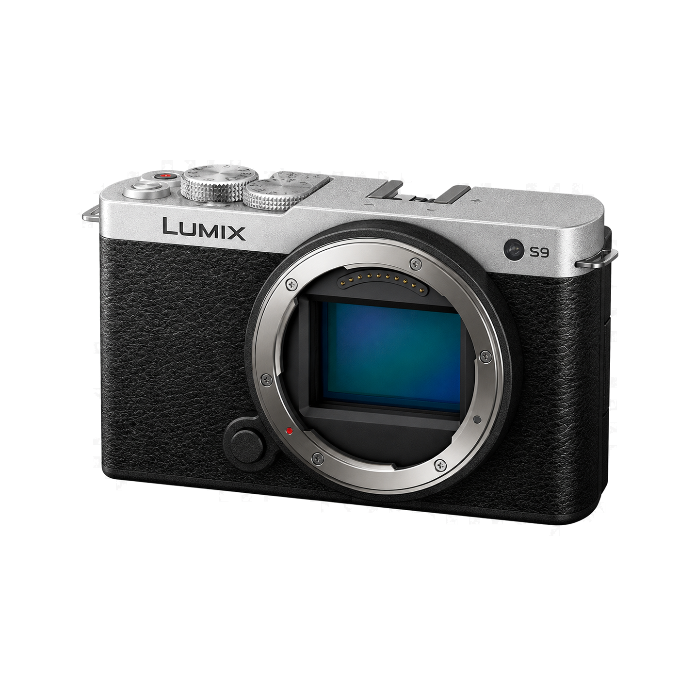 松下Lumix S9型号图
