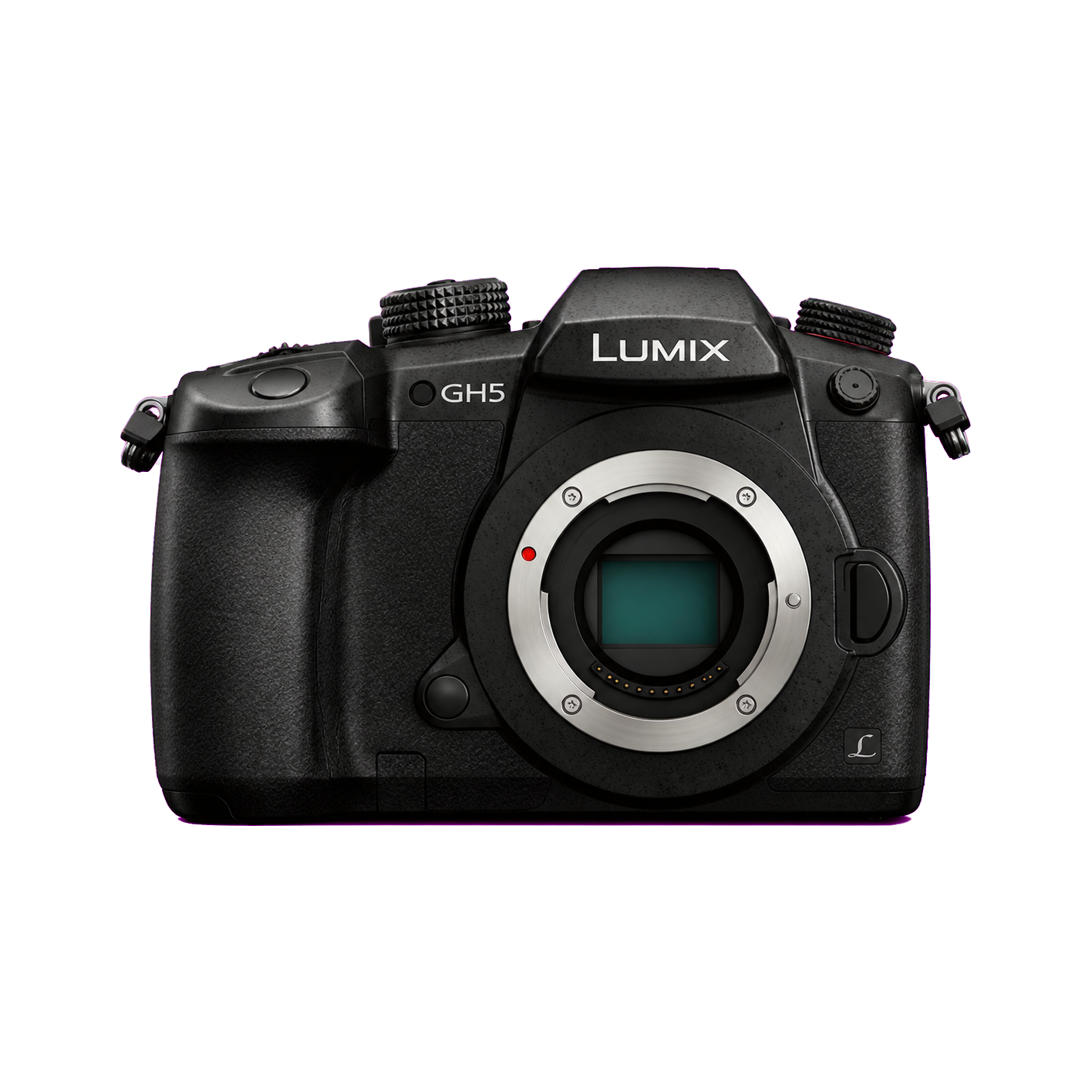 松下DC-GH5型号图