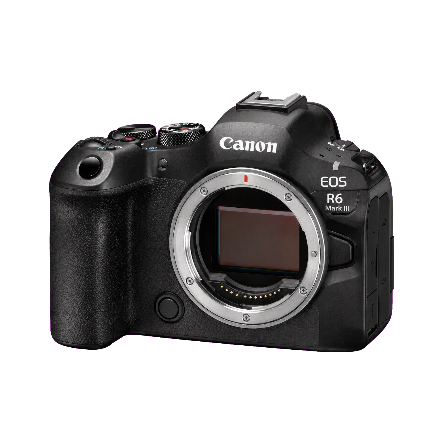 佳能 EOS R6 III型号图