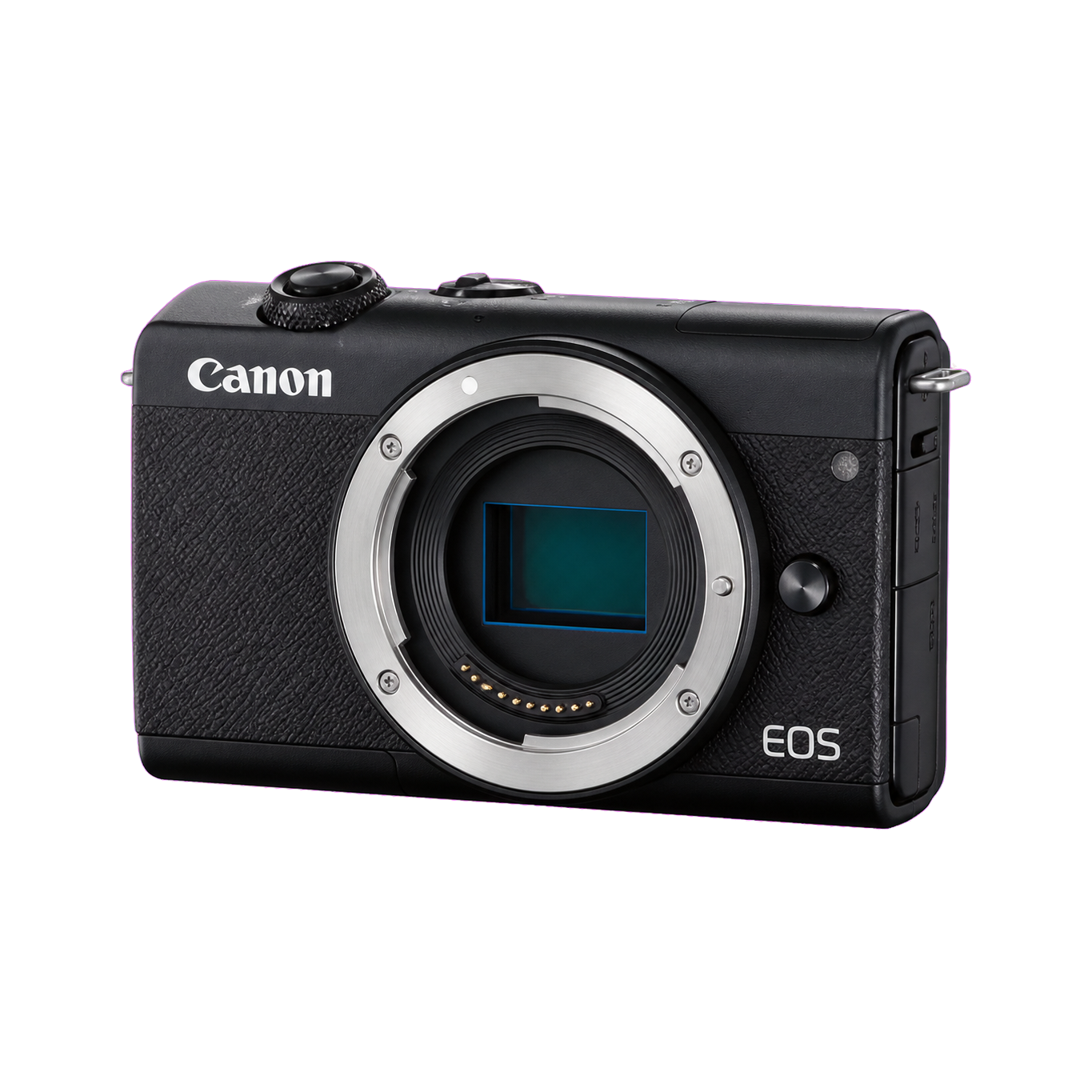 佳能 EOS M200型号图