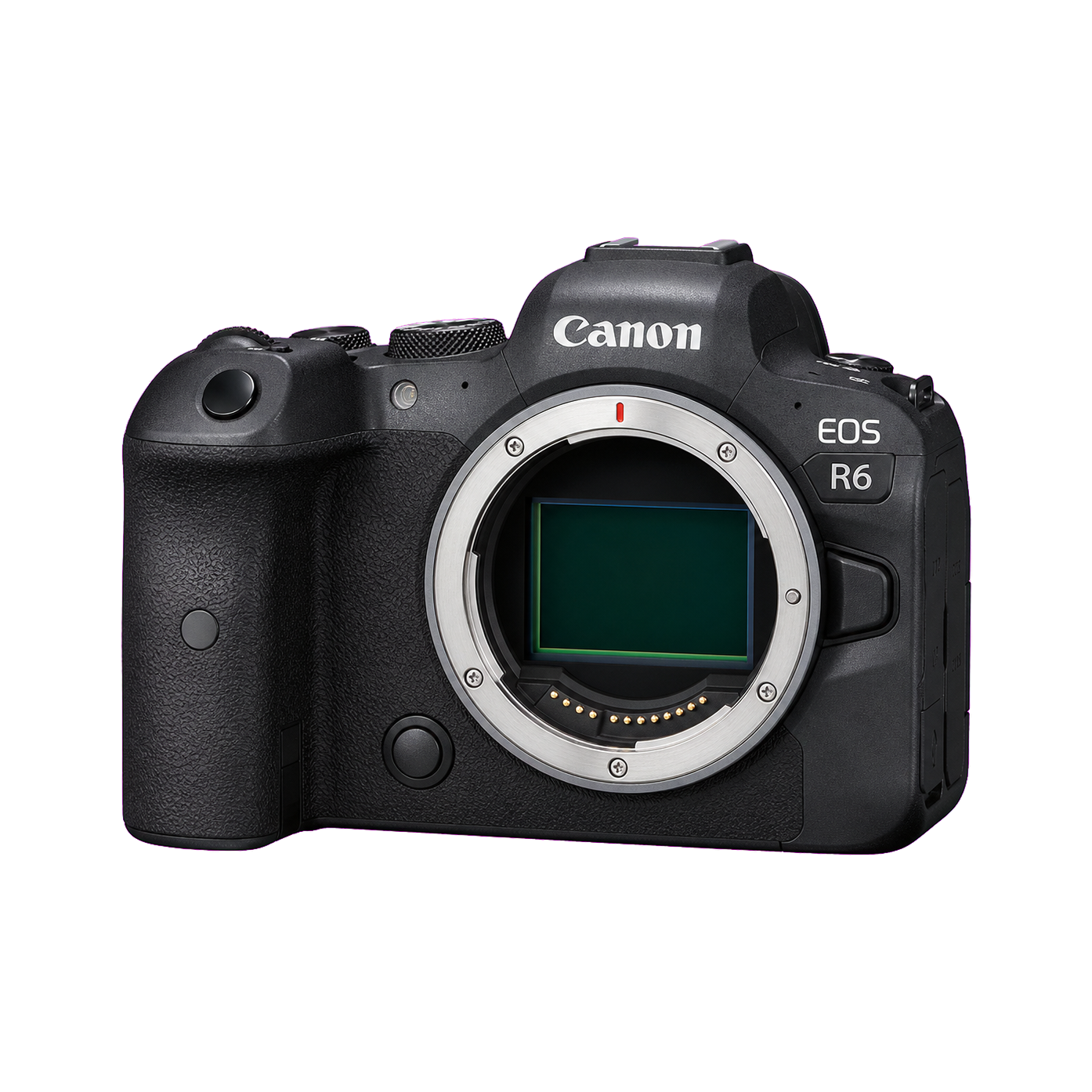 佳能 EOS R6型号图